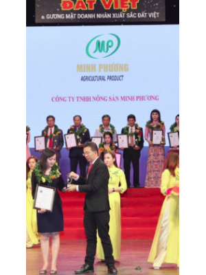 Minh Phương đạt giải Gương mặt doanh nhân xuất sắc Đất Việt