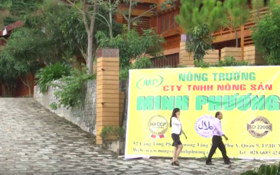 Giới thiệu chung về Nông Sản Minh Phương